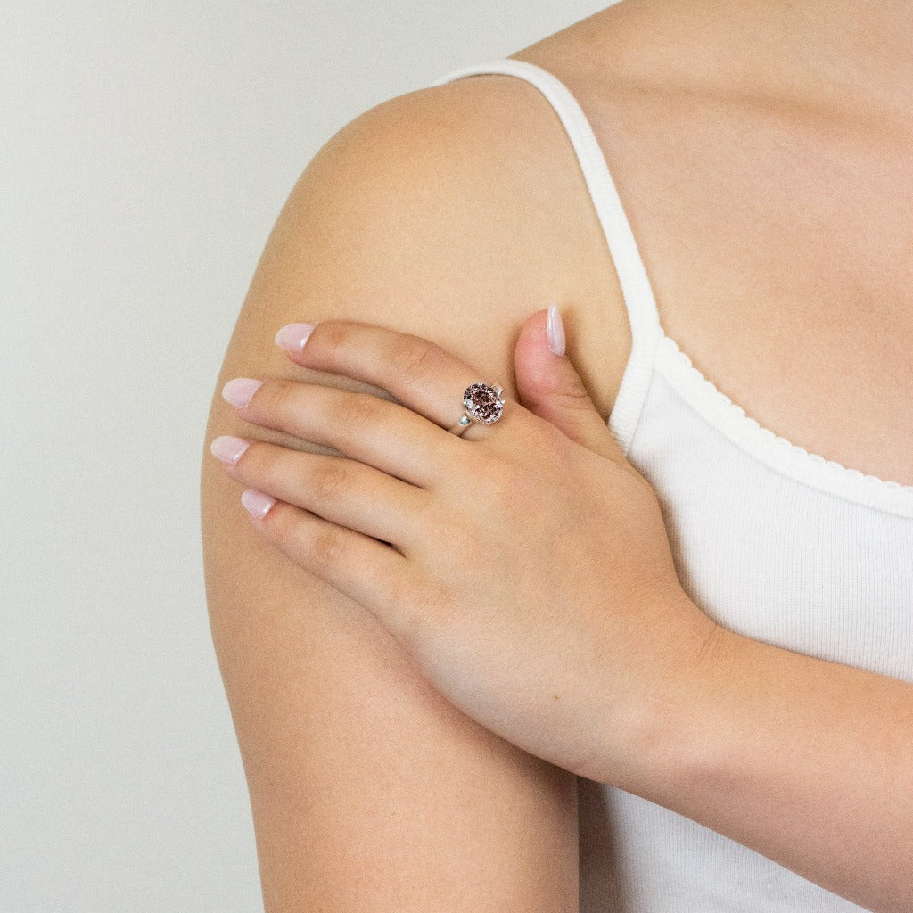 Lepidocrocite ring on model