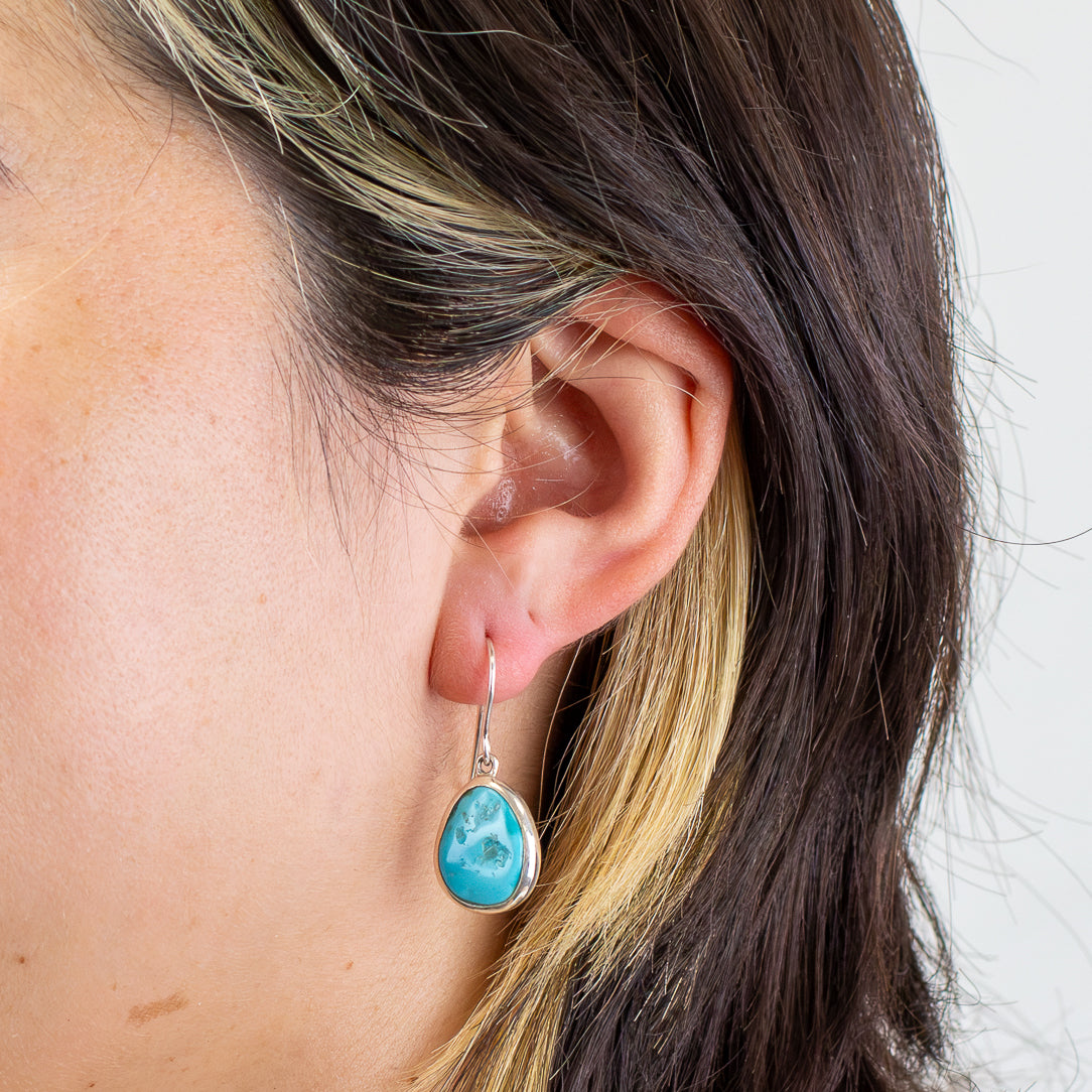 Sleeping Beauty Turquoise Drop Earrings