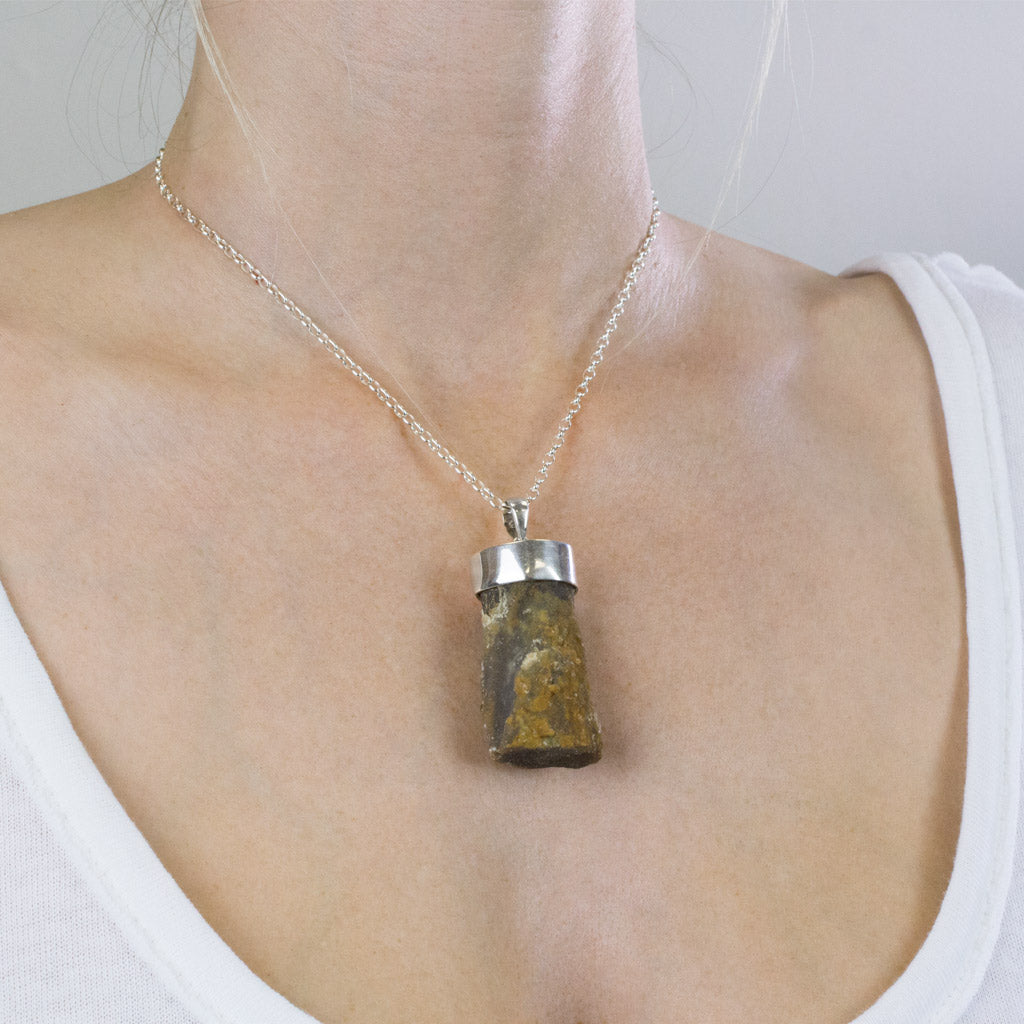 Petrified Wood Necklace