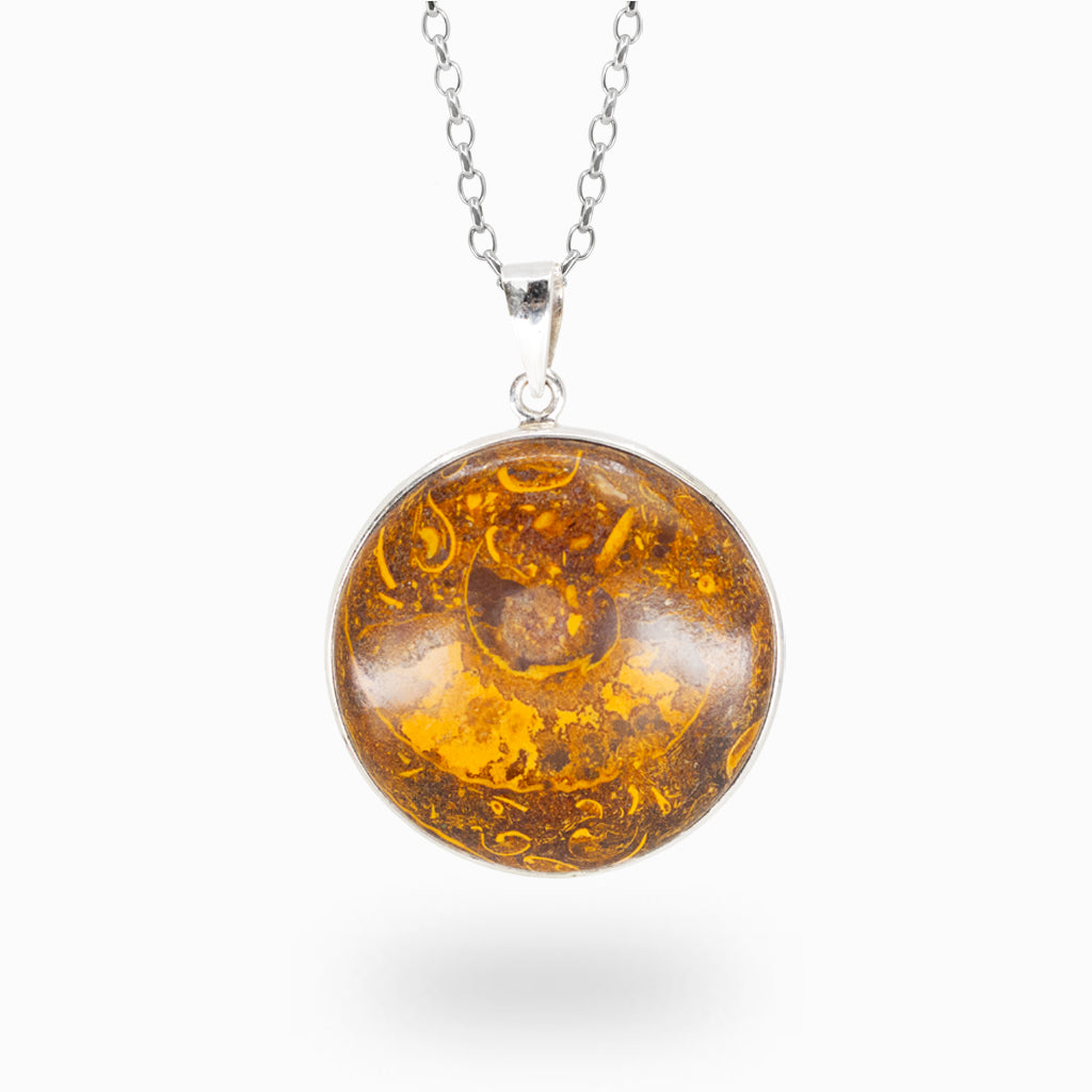 Round Ammonite fossil pendant necklace in sterling silver featuring natural spiral fossil formation.