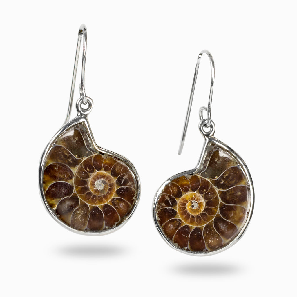 Ammonite Drop Earrings