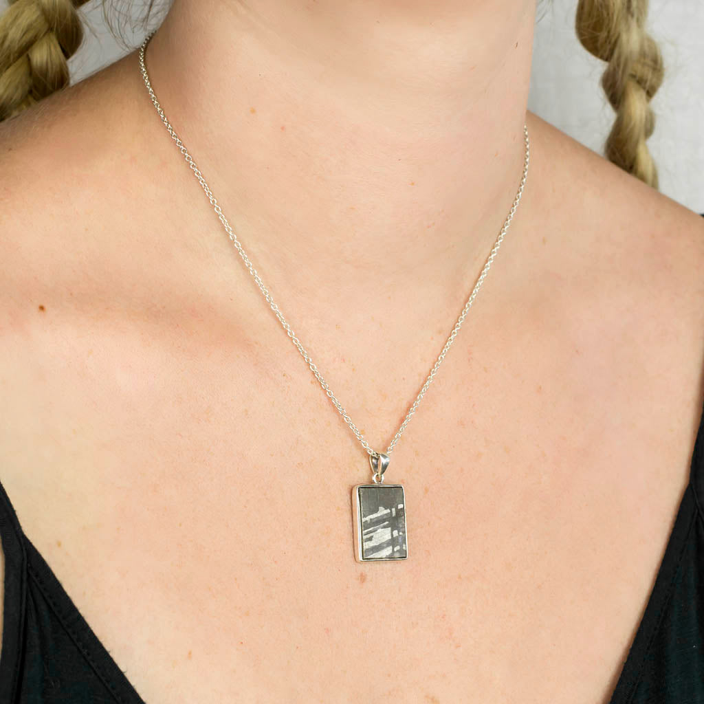 Henbury Meteorite Pendant on Model