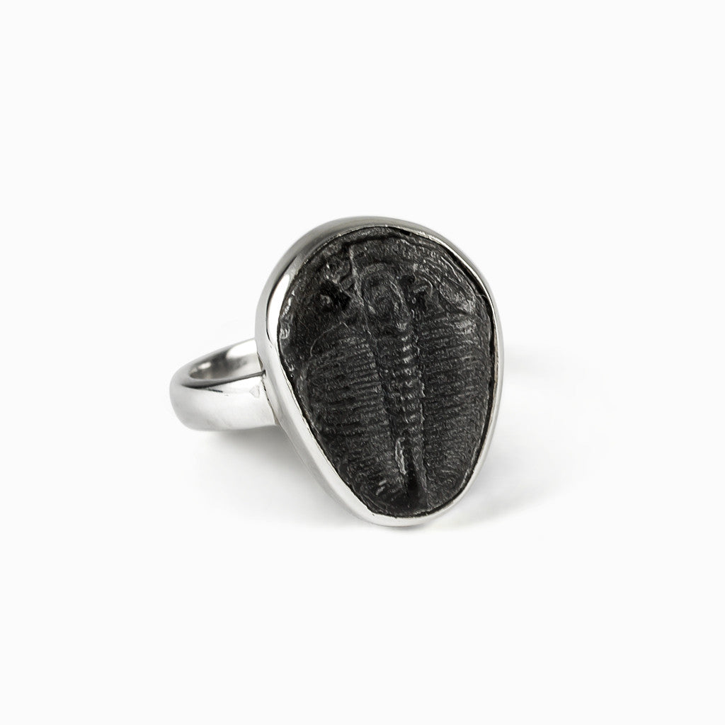 Trilobite Ring