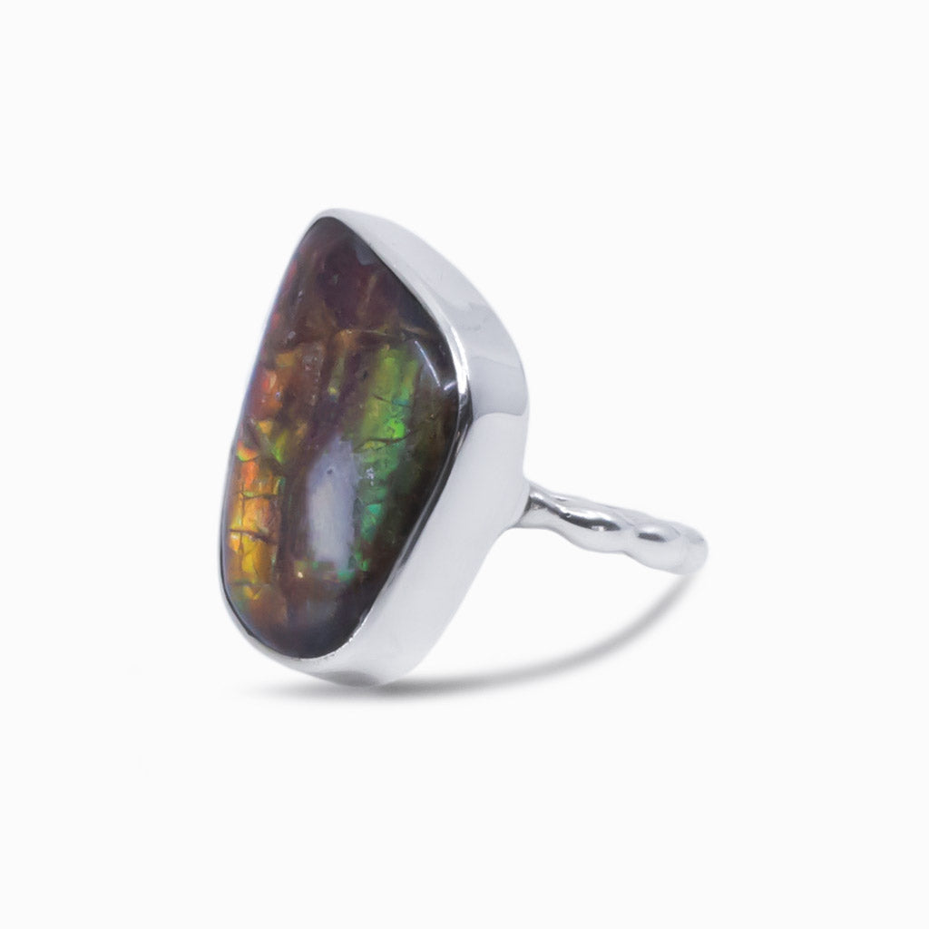 Ammolite ring