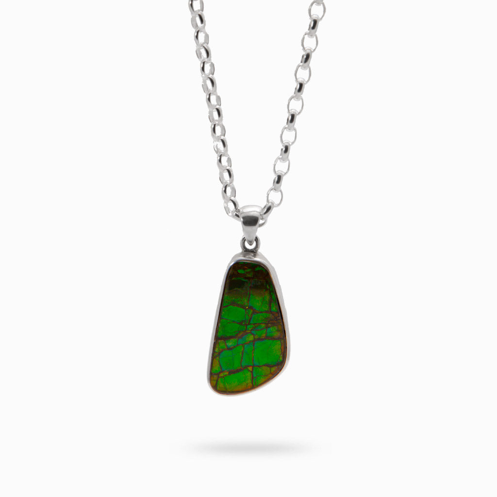 AMMOLITE NECKLACE