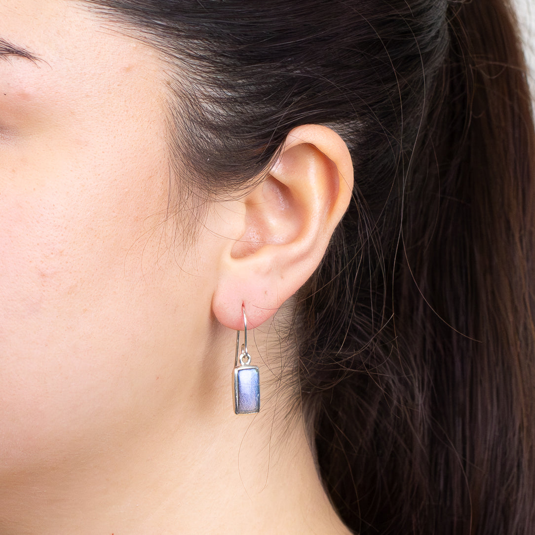 Labradorite Drop Earrings