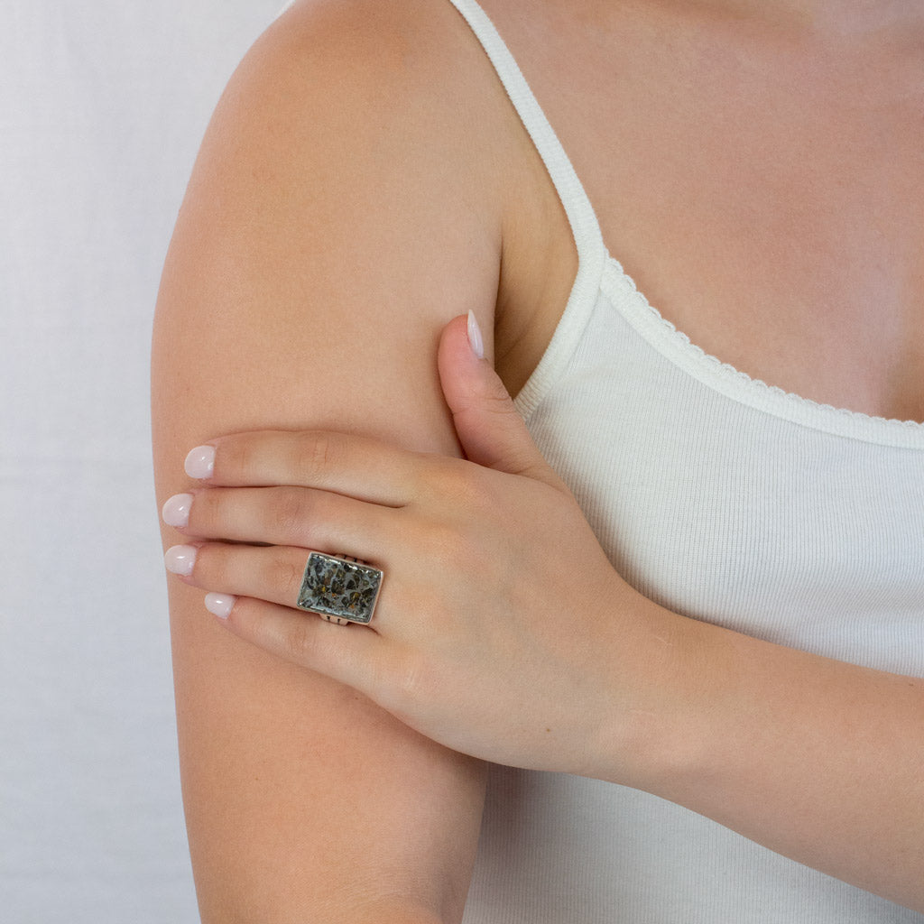 Rectangle Raw Pallasite Ring