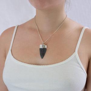 Megalodon Tooth Necklace on model