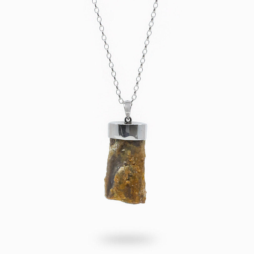 Raw Petrified Wood necklace