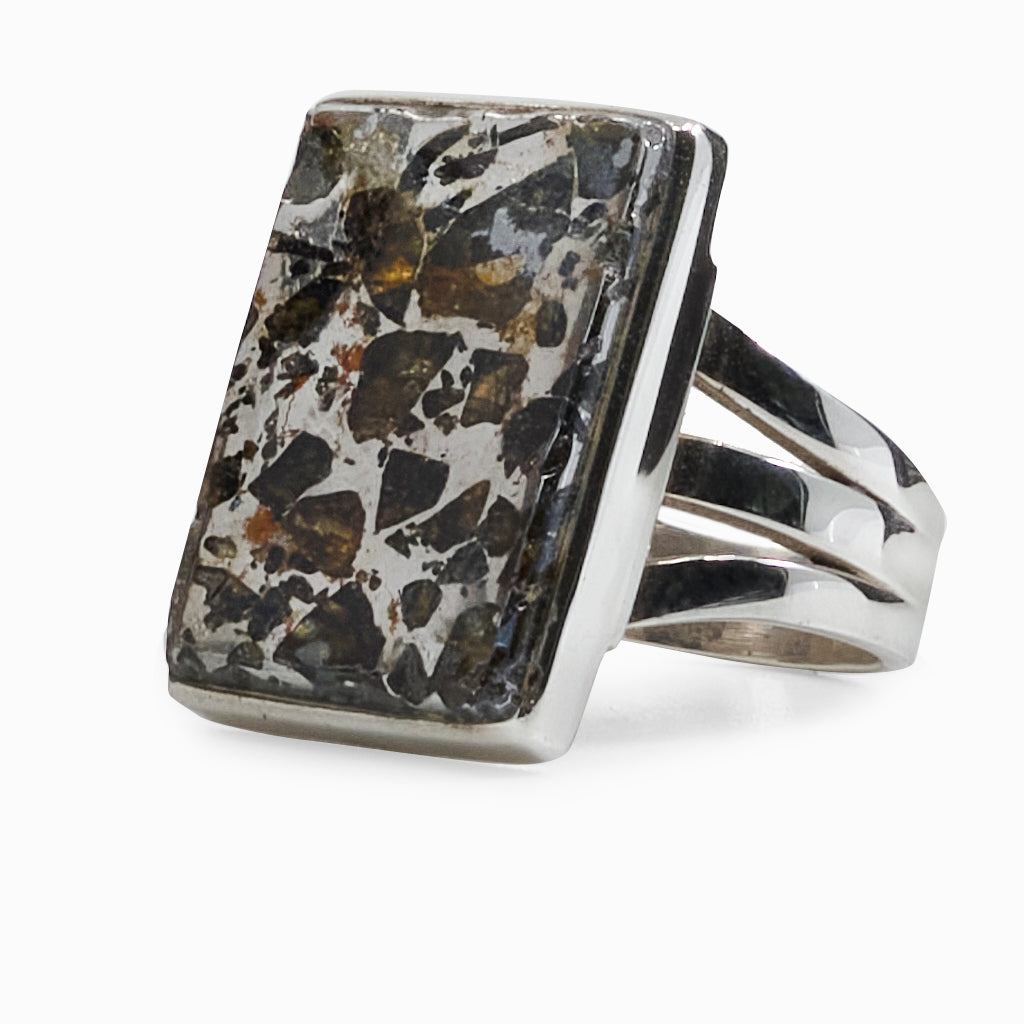 Rectangle Raw Pallasite Ring right side