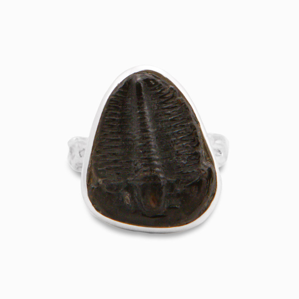 RAW TRILOBITE RING