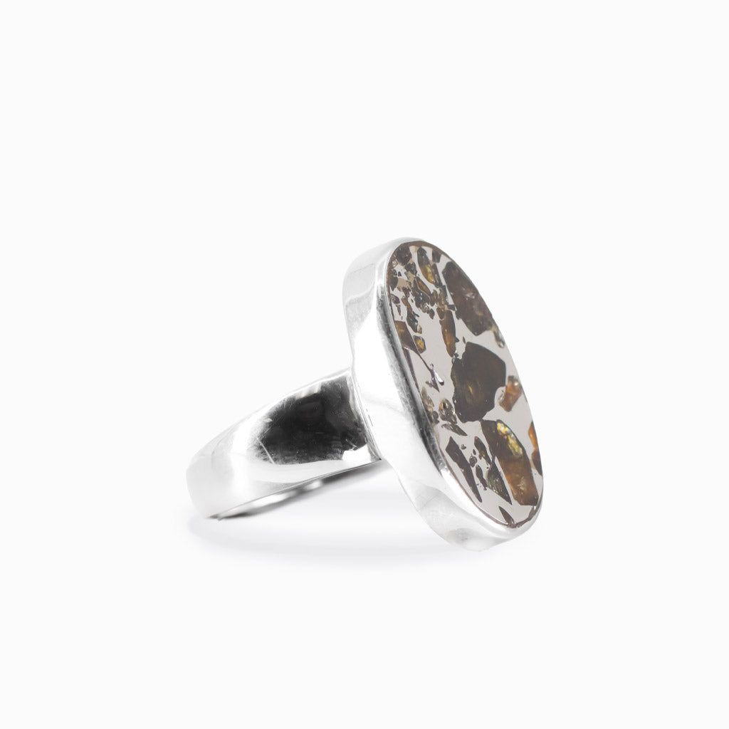 pallasite ring