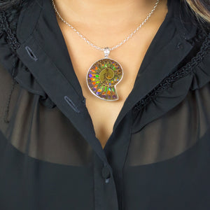 Multi-colored Ammolite Necklace on Model