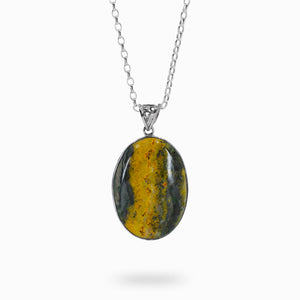Cabochon Yellow and Black Oval Bumblebee Jasper Necklace