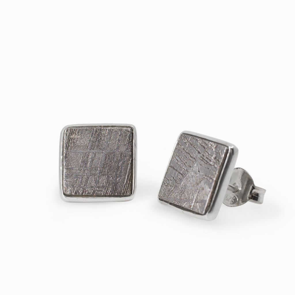 Gibeon Meteorite Stud Earrings