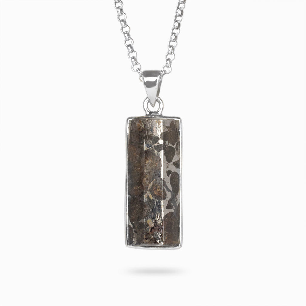 Pallasite Meteorite Necklace with Peridot crystals
