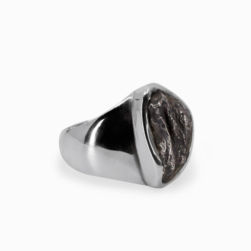 Gibeon Meteorite Ring | Made In Earth US