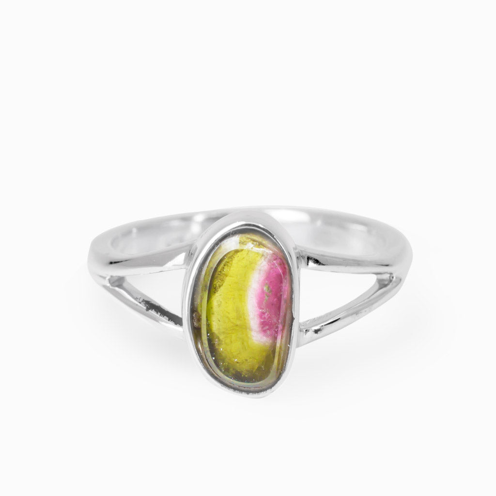 Yellow and Pink Sliced Watermelon Tourmaline Made in Earrth