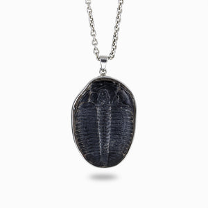 Sterling Silver Trilobite Fossil Necklace