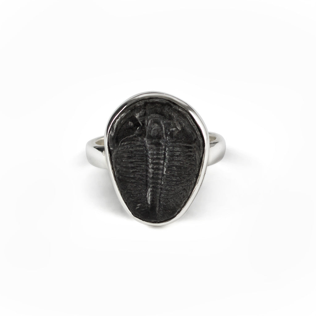 Black Skeletal Print Trilobite Ring Made in Earth